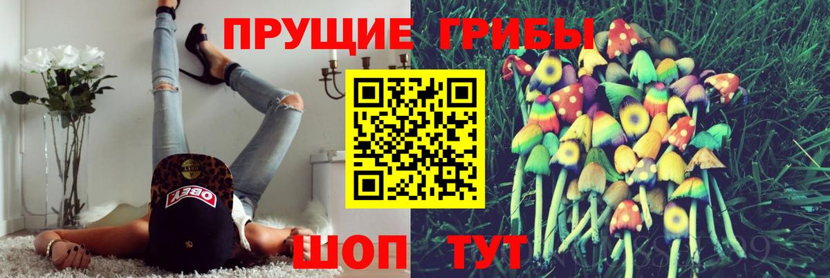 Пенза  Галлюциногенные грибы мицелий  Вход с VPN 